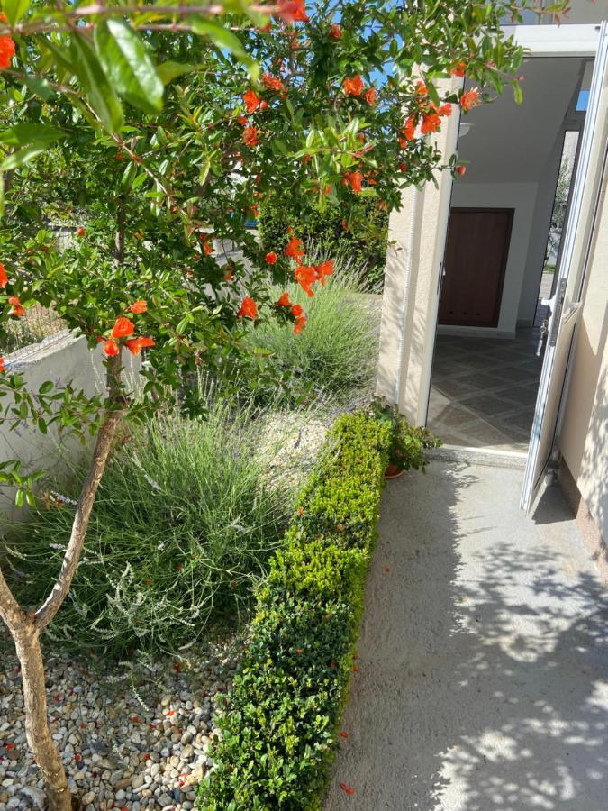 וודיצה Apartman Danijela מראה חיצוני תמונה