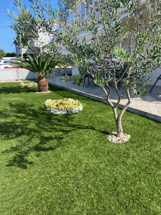 וודיצה Apartman Danijela מראה חיצוני תמונה